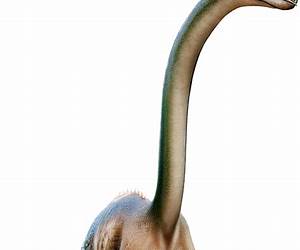 Brachiosaurus: A 4D Book (Dinosaurs)