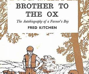 Brother to the Ox
