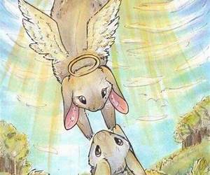 Bunnies From Heaven