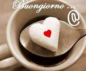 Buongiorno, prato!