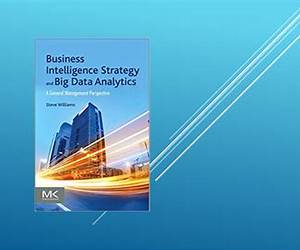 Business Intelligence Strategy and Big Data Analytics: A General Management Perspective