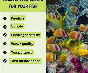 Care for your Tropical Fish (RSPCA Pet Guide) Care for your Tropical Fish (RSPCA Pet Guide)