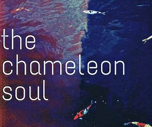 Chameleon Soul (Chequered Flag, #1) Chameleon Soul (Chequered Flag, #1)
