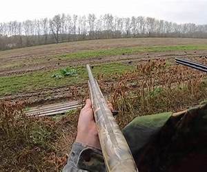 Chasse aux corneilles Chasse aux corneilles