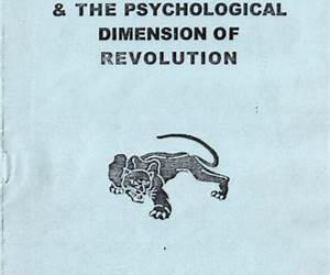 Childhood \u0026 The Psychological Dimension of Revolution