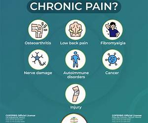 Chronic Pain, Anxiety, Food Intolerance and more...: Ehlers-Danlos Syndrome and Autism Spectrum Disorder (Transcend Mediocrity Book 108) Chronic Pain, Anxiety, Food Intolerance and more...: Ehlers-Danlos Syndrome and Autism Spectrum Disorder (Transcend Mediocrity Book 108)