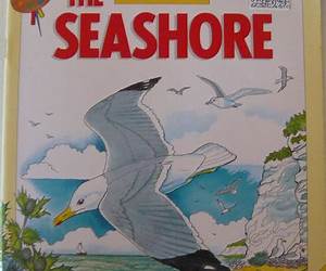 Coloring Guide to the Seashore Coloring Guide to the Seashore