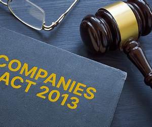 Companies Act 2013 Companies Act 2013