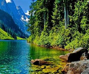Cool Green Waters Cool Green Waters