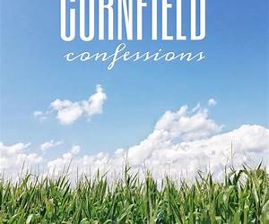 Cornfield Confessions Cornfield Confessions
