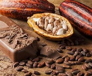Creating Chocolate Creating Chocolate