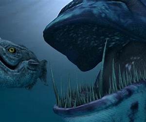 Creature in The Sea Creature in The Sea