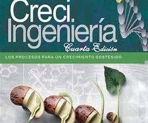 Crecingenieria: Transformando vidas a travez de procesos (Spanish Edition)