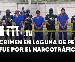 Crimen y perlas (Spanish Edition)