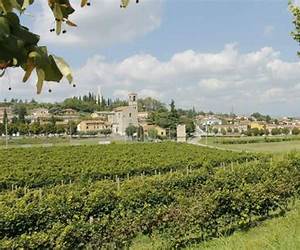 Custoza: Memories of an Ex-Grenadier Custoza: Memories of an Ex-Grenadier