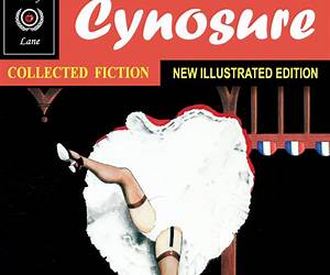 Cynosure Illustrated Fiction: Selected Briefs Cynosure Illustrated Fiction: Selected Briefs