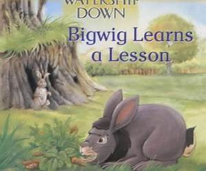 DIANE LEARNS A LESSON DIANE LEARNS A LESSON