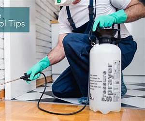 DIY Pest Control by Exterm X Inc.