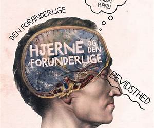 Den foranderlige hjerne og den forunderlige bevidsthed