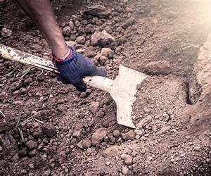 Dig: Inspirational Gardening for a New Generation Dig: Inspirational Gardening for a New Generation