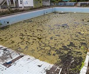 Dirty Pool Dirty Pool