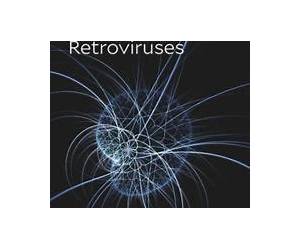 Discovering Retroviruses: Beacons in the Biosphere