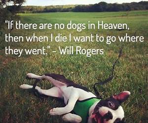 Dog Dig Death Dog Dig Death