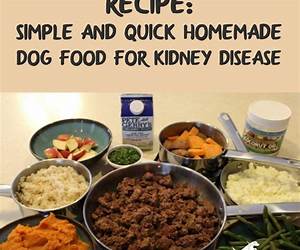 Dog Food Recipes For Kidney And Heart Health Dog Food Recipes For Kidney And Heart Health