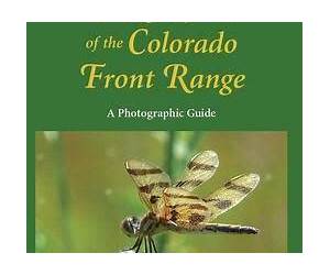 Dragonflies of the Colorado Front Range: A Photographic Guide