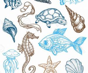 Drawing Ocean Animals (Drawing Amazing Animals) Drawing Ocean Animals (Drawing Amazing Animals)