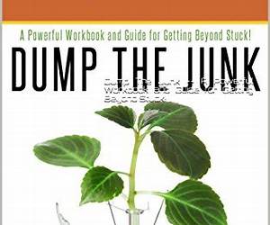 Dump The Junk -- A Powerful Workbook and Guide for Getting Beyond Stuck! Dump The Junk -- A Powerful Workbook and Guide for Getting Beyond Stuck!