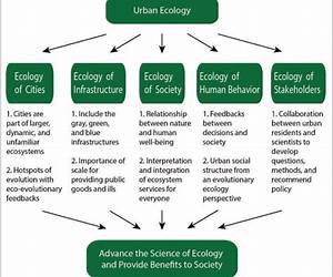 Ecology of Urban Environments