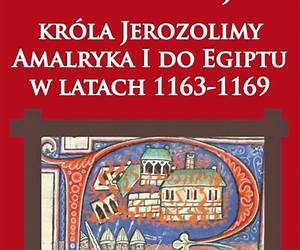 Ekspedycje króla Jerozolimy Amalryka I do Egiptu w latach 1163–1169