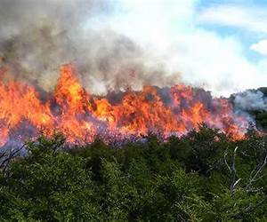 El Incendio El Incendio