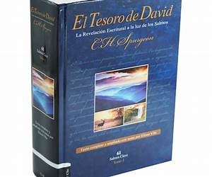 El Tesoro de David: la revelación Escritural a la luz de los Salmos: Volumen 1 El Tesoro de David: la revelación Escritural a la luz de los Salmos: Volumen 1