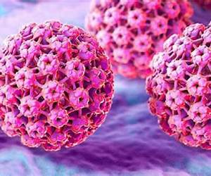 El Virus del Papiloma Humano: Cáncer de Cérvix (Spanish Edition)