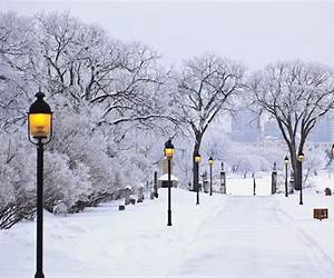 El invierno y la ciudad El invierno y la ciudad