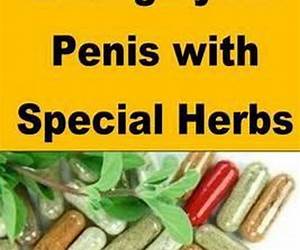 Enlarge Your Penis with Special Herbs: A step by step guide to increase your penis size in a few days Enlarge Your Penis with Special Herbs: A step by step guide to increase your penis size in a few days