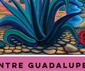 Entre Guadalupe y Malinche: Tejanas in Literature and Art