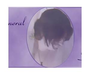 Ephemeral Solace (Mission: SRX, #2) Ephemeral Solace (Mission: SRX, #2)