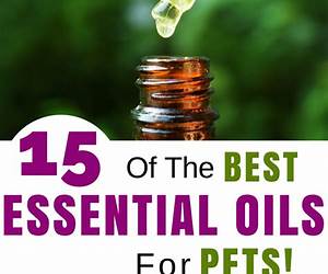 Essential Oils For Pets: Ultimate Guide for Amazingly Effective Natural Remedies For Pets (Natural Pet Remedies,Essential Oils Dogs, Essential Oils Cats,Aromatherapy Pets,Essential Oils For Pets,) Essential Oils For Pets: Ultimate Guide for Amazingly Effective Natural Remedies For Pets (Natural Pet Remedies,Essential Oils Dogs, Essential Oils Cats,Aromatherapy Pets,Essential Oils For Pets,)
