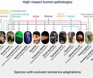 Evolutionary Medicine Evolutionary Medicine