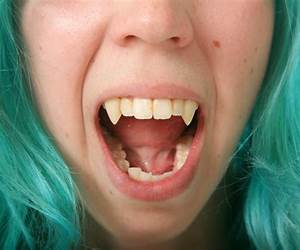 Fangs By Liz Sheffield