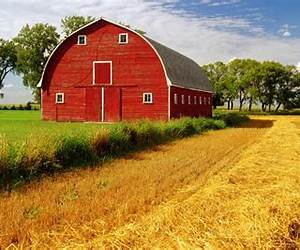 Farm (Lift-the-flap Tab Books)