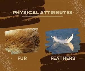 Feathers and Fur (Brac Pack Next Gen #6) Feathers and Fur (Brac Pack Next Gen #6)