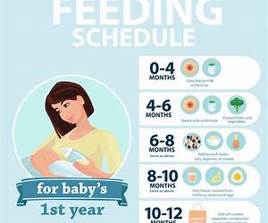 Feeding Time