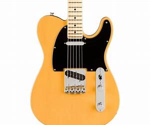 Fender Reference Fender Reference