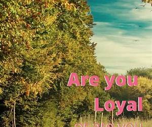 Fiercely Loyal Fiercely Loyal