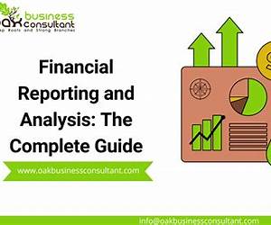 Financial Reporting and Analysis (CFA Program Curriculum Level 1 2016, #3)