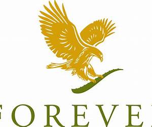 Forever (Smoky Mountain Series Book 1) Forever (Smoky Mountain Series Book 1)